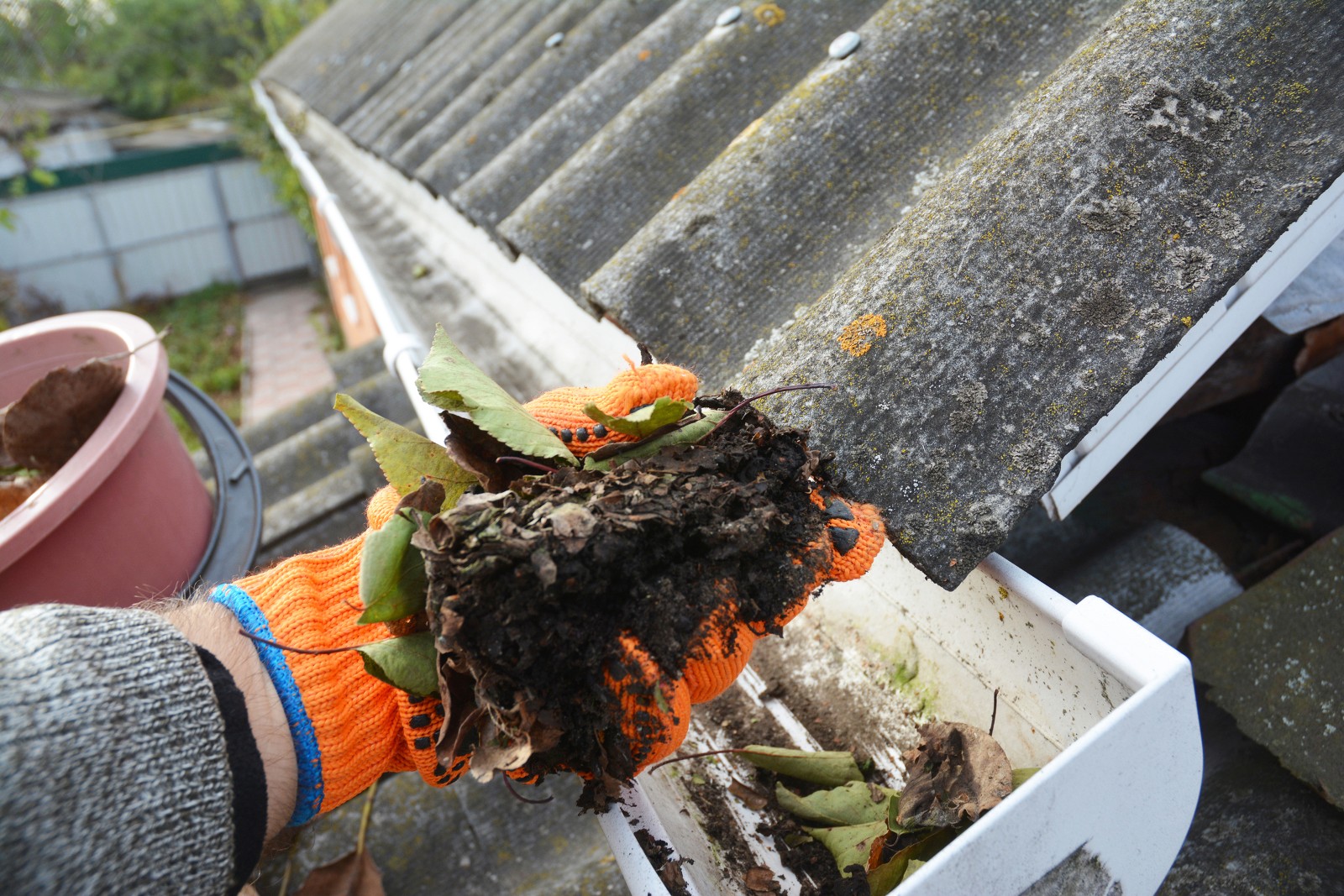Professional gutter cleaning service removing leaves and debris from a Gold Coast roofline.